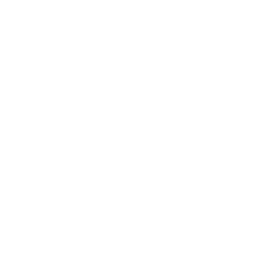 empowerment- icon from www.flaticon.com'